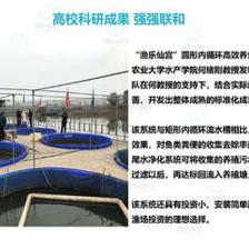 智慧農(nóng)研引領(lǐng)未來(lái) 重慶工廠化高密度養(yǎng)魚(yú)的創(chuàng)新實(shí)踐